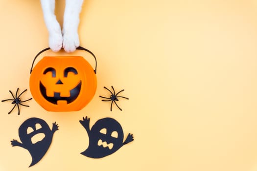 Top view of Halloween decoration, A hand of cat holding jack o lantern, ghost and spider on yellow background with copy space for text. halloween concept.