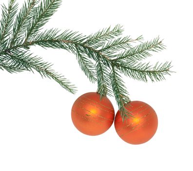 Christmas decoration. Fir twig with Christmas balls on white background