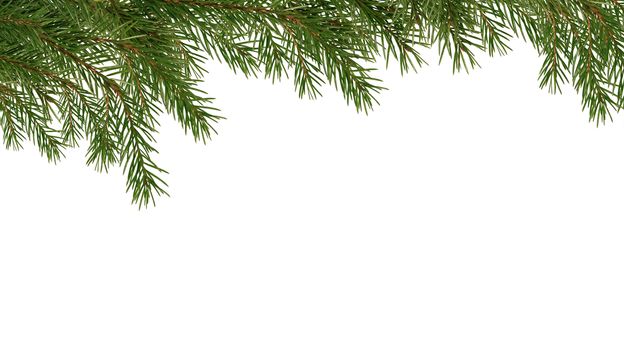 Christmas decoration. Fir twigs as border on white background