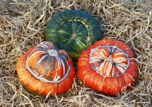 Two striped orange Turks Turban squashes and a large green gourd nestled in fresh straw