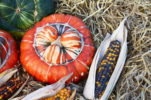 Striped orange Turks Turban gourd with ornamental Fiesta sweetcorn on straw