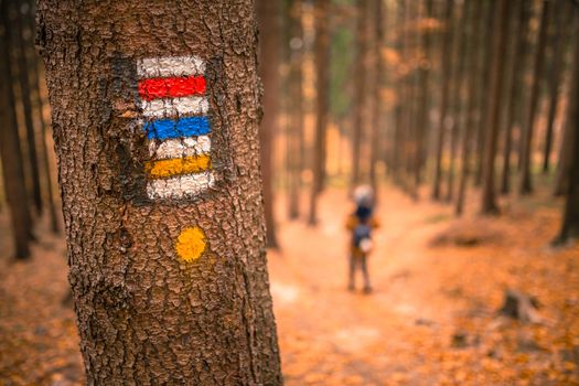 Touristic sign ormark on tree next to touristic path with female tourist in background. Nice autumn scene.