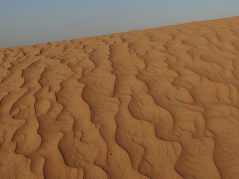 the orange sands of desert