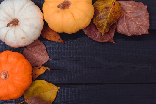 Top view of Pumpkins and and dry leaves on a dark wooden background with copy space for use, Thanksgiving and Autumn concept