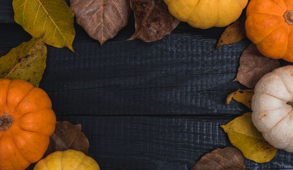 Fall Thanksgiving and Halloween pumpkins and dry leaves on wooden background, top view shot