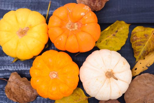 Fall Thanksgiving and Halloween pumpkins and dry leaves on wooden background, top view shot