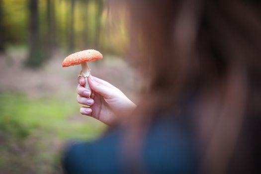 Female holding Amanita Muscaria mushroom