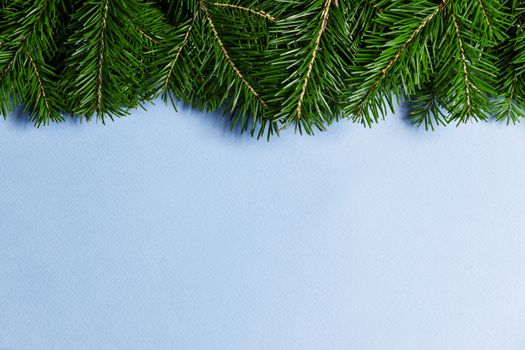 Christmas border arranged with fresh fir branches on blue paper background , copy space for text