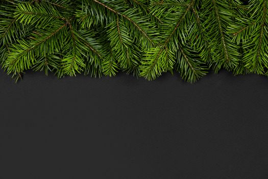 Christmas border arranged with fresh fir branches on black paper background , copy space for text