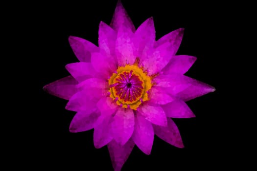 The Abstract Triangles flowers of Top view purple lotus and yellow pollen