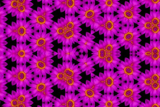 The Abstract reflection of Top view purple lotus and yellow pollen, kaleidoscope image