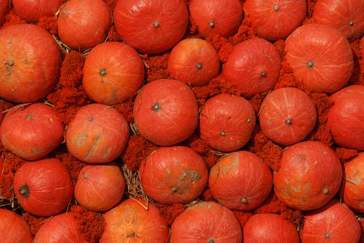 lots of pumpkins at outdoor farmer's market, autumn pumpkin decor for thanksgiving