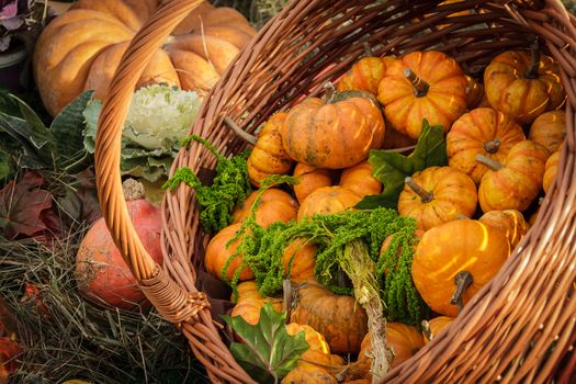 lots of pumpkins at outdoor farmer's market, autumn pumpkin decor for thanksgiving