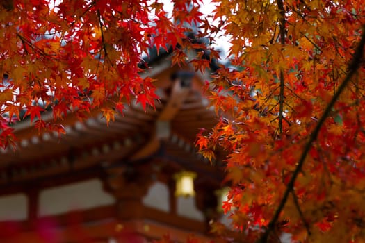 Autumn scene with colorful leaves and temple in Japan.