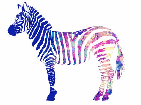 illustration Zebra with colored stripes