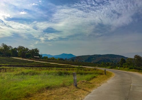 Beautiful sunny road in the morning,Country roads, Leading to a distant country roads.