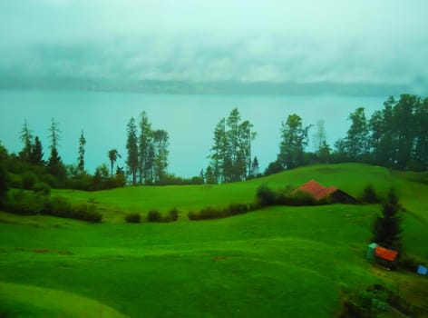 a wayside greenery in Sweden