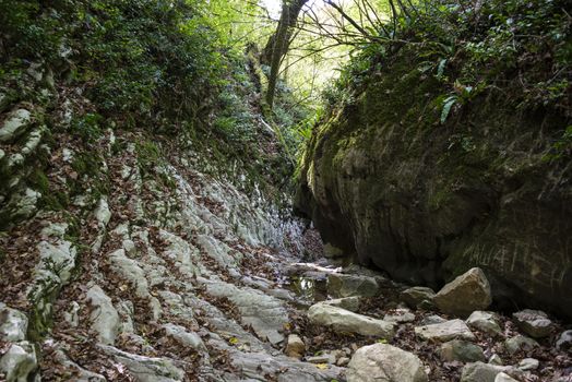 Crab gorge near Lazarevskoye, Sochi, Russia. 3 November 2019.