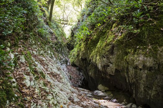 Crab gorge near Lazarevskoye, Sochi, Russia. 3 November 2019.