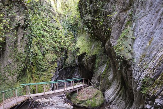 Svirskoye gorge in autumn is a landmark of Lazarevsky district of Sochi, Russia. 5 November 2019.