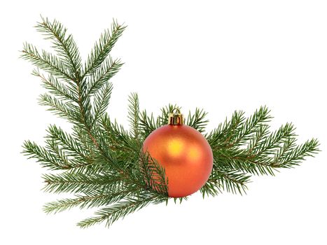 Christmas decoration. Fir twigs as border with Christmas ball on white background