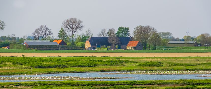 Farm building in the schakerloopolder of Tholen, countryside and nature reserve, Zeeland, The netherlands