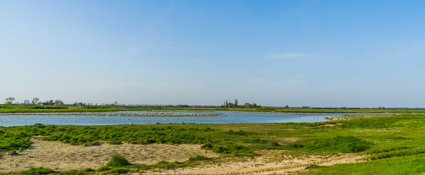 the schakerloopolder in Tholen city with rural buildings in the distance, nature scenery of Zeeland, the netherlands