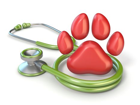 Green stethoscope and red paw 3D3D render illustration isolated on white background