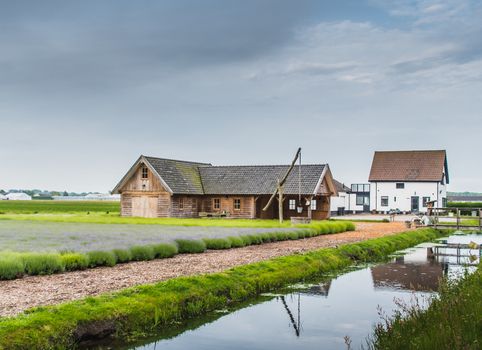 Old rustic and charming wooden house in the middle of a lavender field