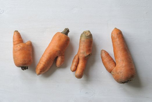 Imperfect carrots with ugly shapes on white background