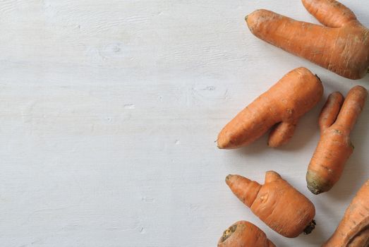 Imperfect carrots with ugly shapes on white background with copy space