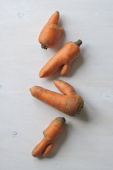 Imperfect carrots with ugly shapes on white background