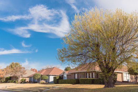 Typical bungalow style house in Dallas, Texas suburbs during fall season with colorful autumn leaves. Middle class neighborhood with single story residential home with mature tree, cloud blue sky