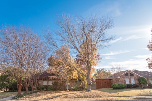 Typical bungalow style house in Dallas, Texas suburbs during fall season with colorful autumn leaves. Middle class neighborhood with single story residential home with mature tree, cloud blue sky