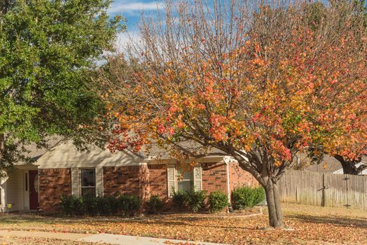 Typical bungalow style house in Dallas, Texas suburbs during fall season with colorful autumn leaves. Middle class neighborhood with single story residential home with mature tree, cloud blue sky