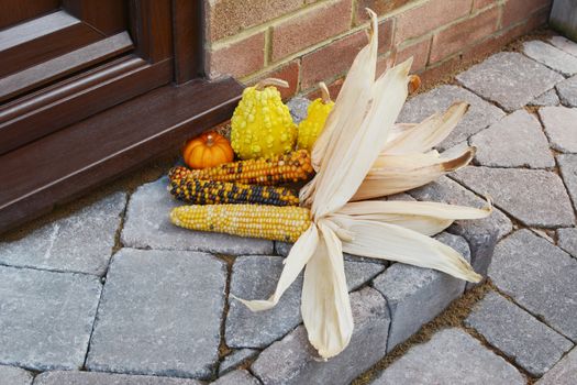 Fall decoration of multi-coloured Indian corn and ornamental gourds at the front door of a house - with copy space