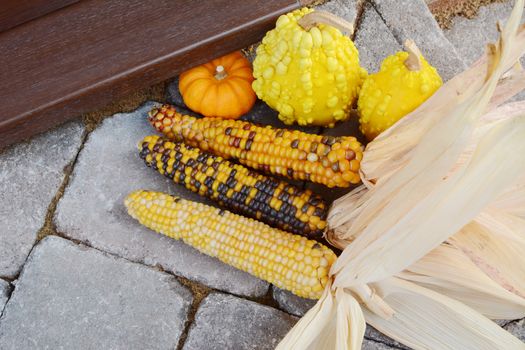 Three cobs of ornamental corn and yellow and orange decorative gourds on a front doorstep at Thanksgiving