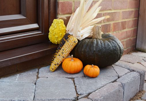 Large green pumpkin with Indian corn and ornamental gourds as a seasonal doorstep decoration with copy space