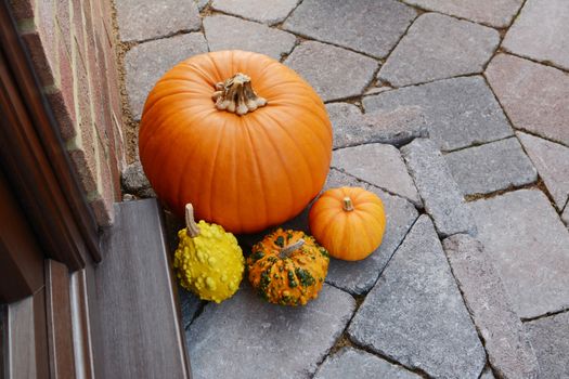 Pumpkin surrounded by ornamental gourds on a doorstep at Thanksgiving with copy space