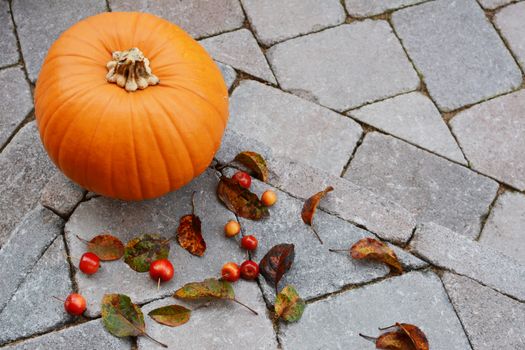 Large pumpkin surrounded by red crab apples and fallen leaves as autumnal decoration on a stone step with copy space