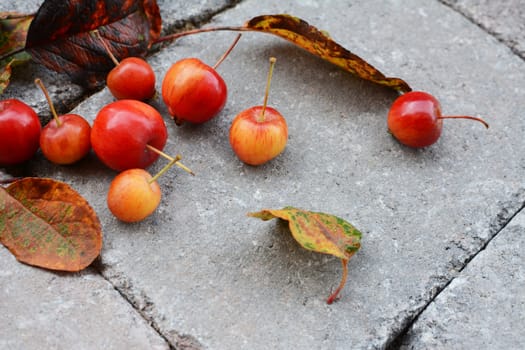 Yellow and orange crab apples with fall foliage on a stone pathway in autumn