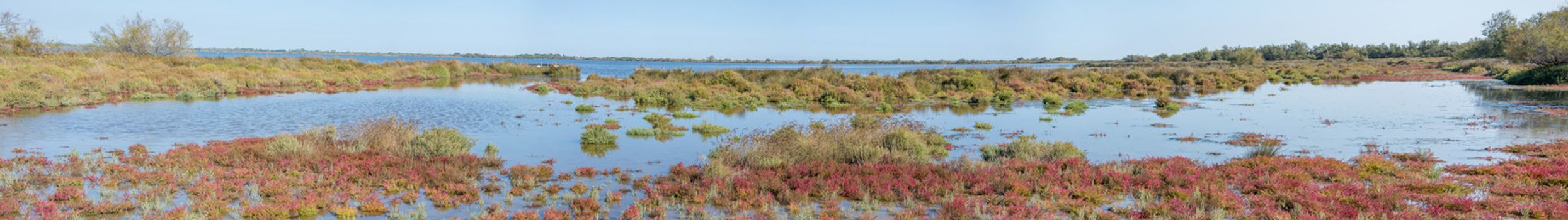 landscape of Camargues in the south of France. Ornithological nature reserve