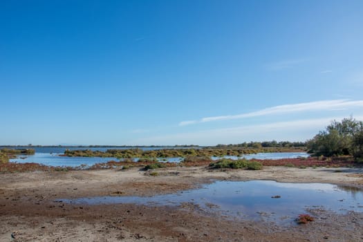 landscape of Camargues in the south of France. Ornithological nature reserve