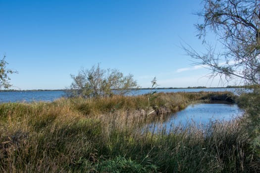 landscape of Camargues in the south of France. Ornithological nature reserve