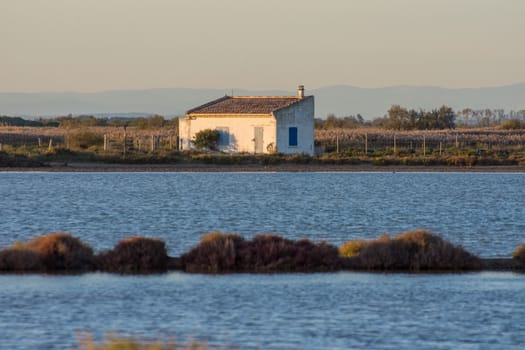 landscape of Camargues in the south of France. Ornithological nature reserve