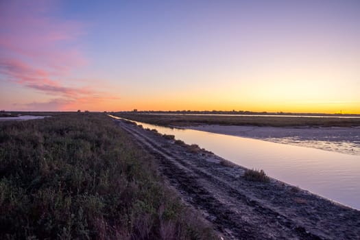 landscape of Camargues in the south of France. Ornithological nature reserve