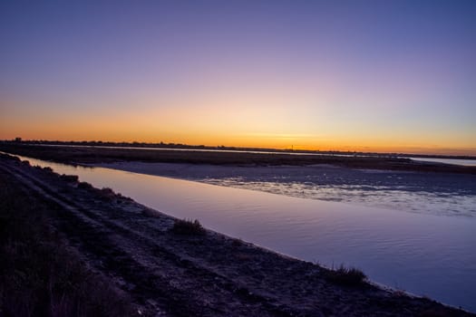 landscape of Camargues in the south of France. Ornithological nature reserve