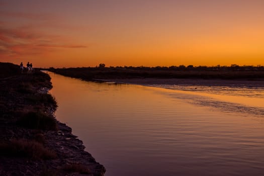 landscape of Camargues in the south of France. Ornithological nature reserve