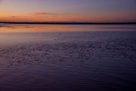 landscape of Camargues in the south of France. Ornithological nature reserve