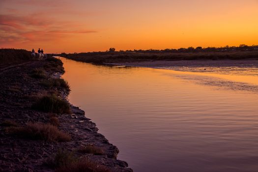 landscape of Camargues in the south of France. Ornithological nature reserve